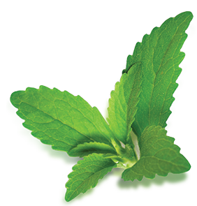 HCP Research Program flower