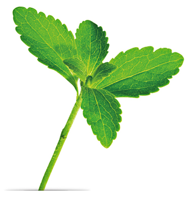 HCP Safety health dietary safety leaf