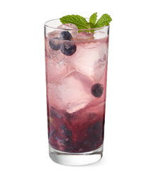BlueberryMojito Results